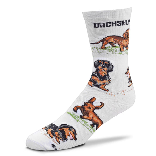 Women's Dachshund Poses Socks