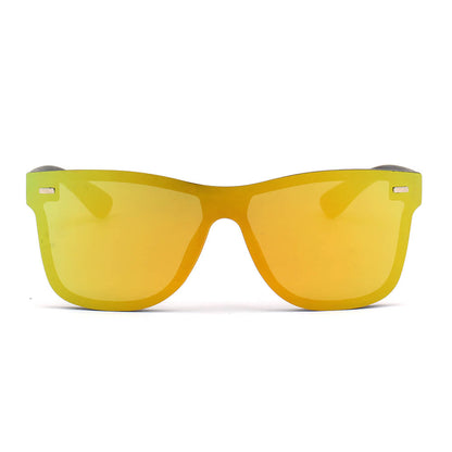 ALTO | Modern Colored Rim Men's Horn Rimmed Sunglasses-1