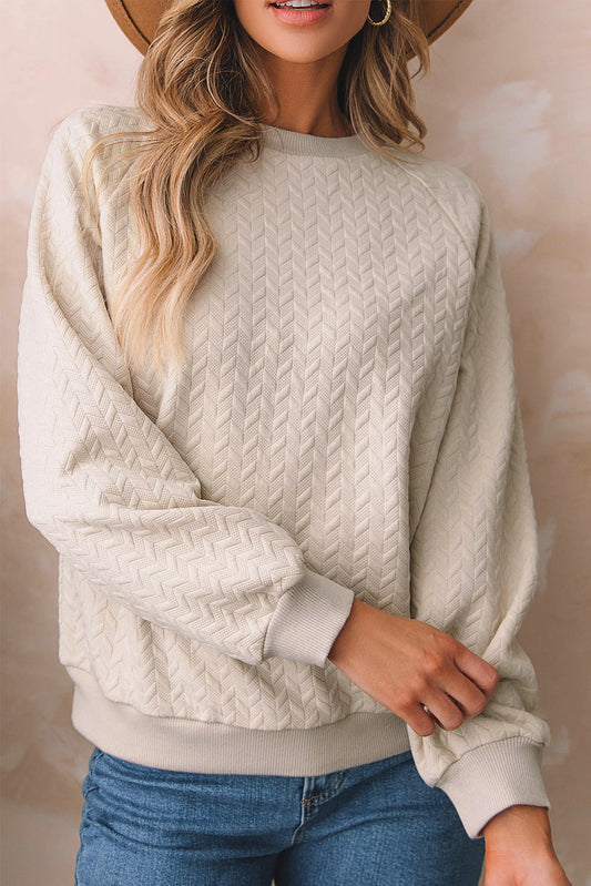 Amy Textured Raglan Sleeve Pullover Sweatshirt-0