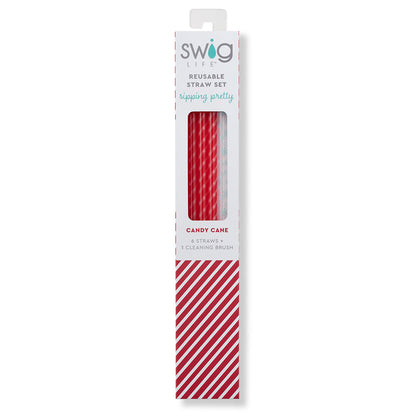 Candy Cane + Snowflake Reusable Straw Set