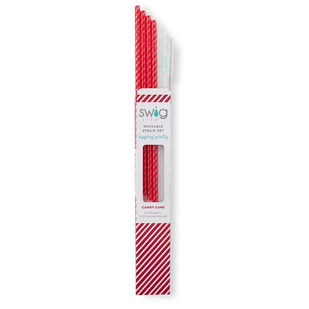 Candy Cane + Snowflake Reusable Straw Set